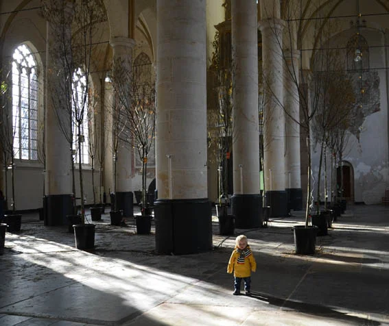 The 2014 The Witteveen+Bos Art+Technology Award